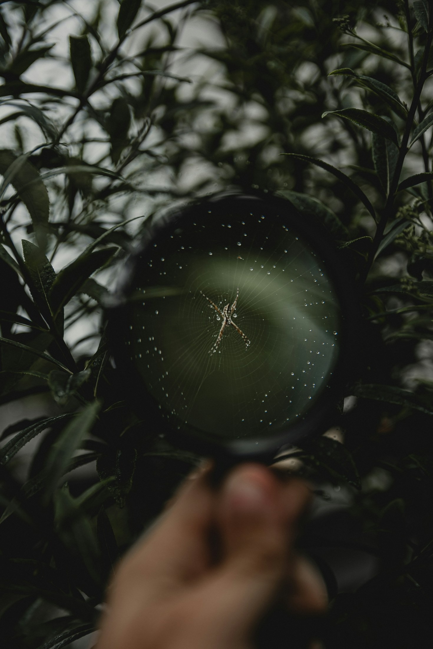 The Role of Reflection in Personal Growth
